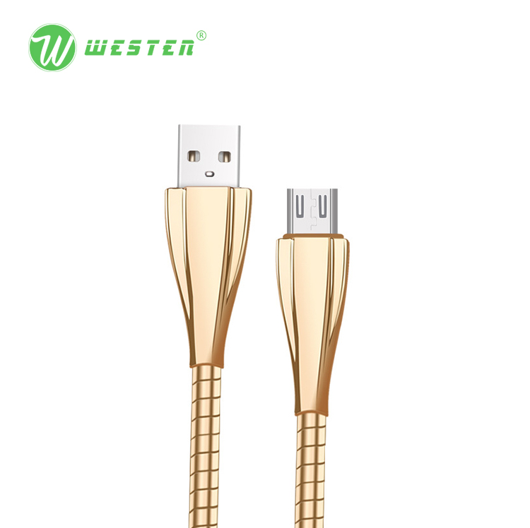 WTDC-10 Vase Steel-pipe Data Cable