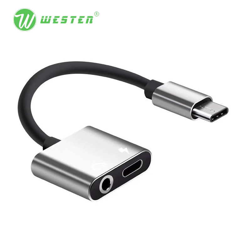WTDC-01 Type C to 3.5mm Audio Cable